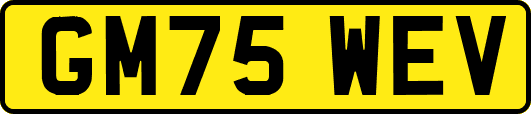 GM75WEV