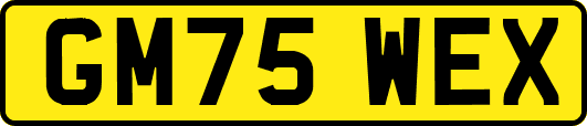 GM75WEX