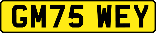 GM75WEY