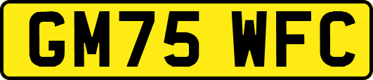 GM75WFC