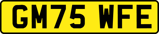 GM75WFE