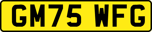 GM75WFG