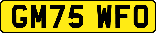 GM75WFO