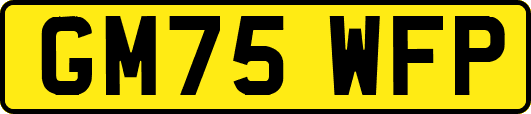 GM75WFP