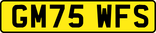 GM75WFS