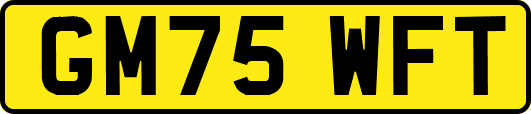 GM75WFT