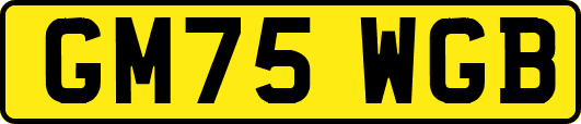 GM75WGB
