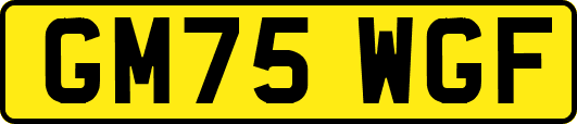 GM75WGF