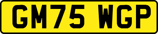 GM75WGP
