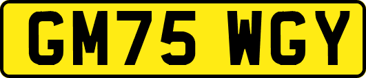 GM75WGY