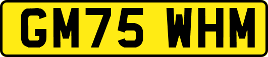 GM75WHM
