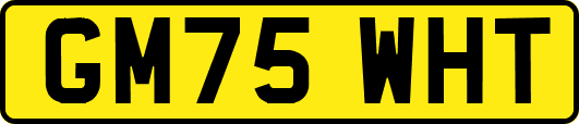 GM75WHT