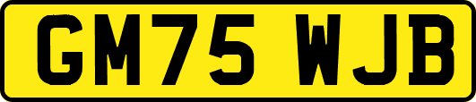 GM75WJB