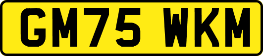GM75WKM