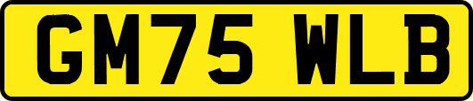 GM75WLB