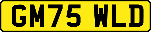 GM75WLD