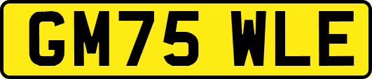 GM75WLE