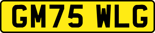 GM75WLG