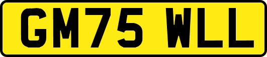 GM75WLL