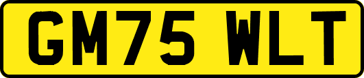 GM75WLT