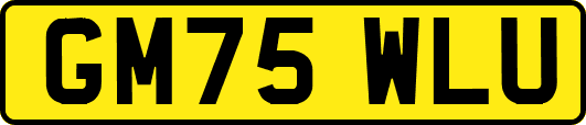 GM75WLU