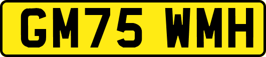 GM75WMH