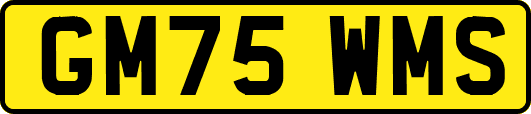 GM75WMS