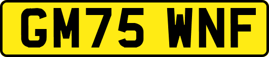 GM75WNF