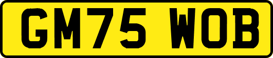 GM75WOB