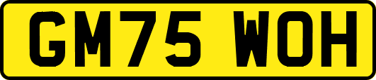 GM75WOH