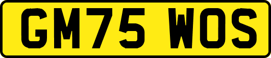 GM75WOS