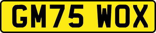 GM75WOX