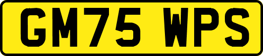 GM75WPS