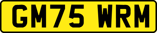 GM75WRM
