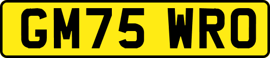 GM75WRO