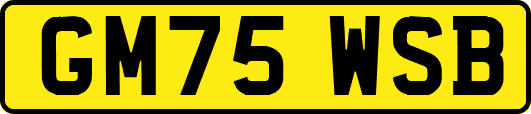 GM75WSB