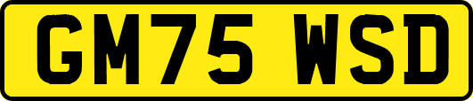 GM75WSD