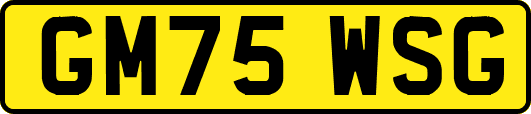 GM75WSG