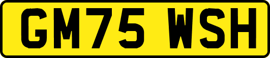 GM75WSH