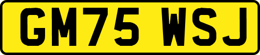 GM75WSJ