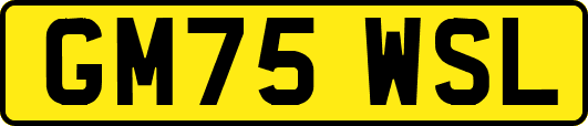 GM75WSL