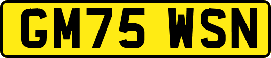 GM75WSN