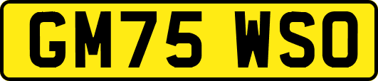 GM75WSO