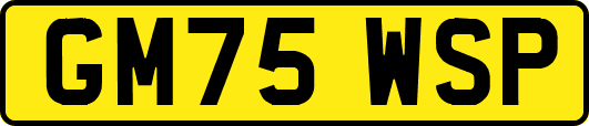 GM75WSP
