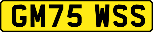 GM75WSS