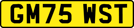 GM75WST