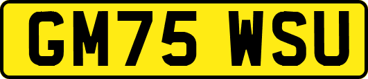 GM75WSU