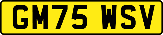 GM75WSV