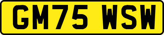 GM75WSW
