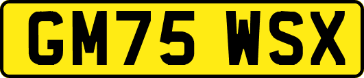 GM75WSX